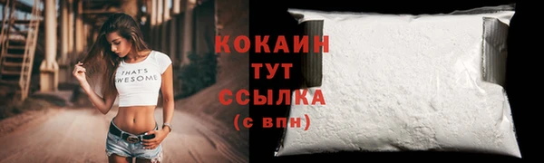 ПСИЛОЦИБИНОВЫЕ ГРИБЫ Кодинск