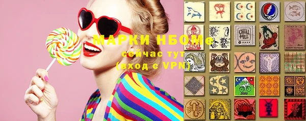 прущие грибы Нея